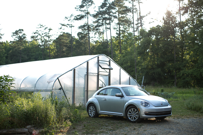 VW-Greenhouse